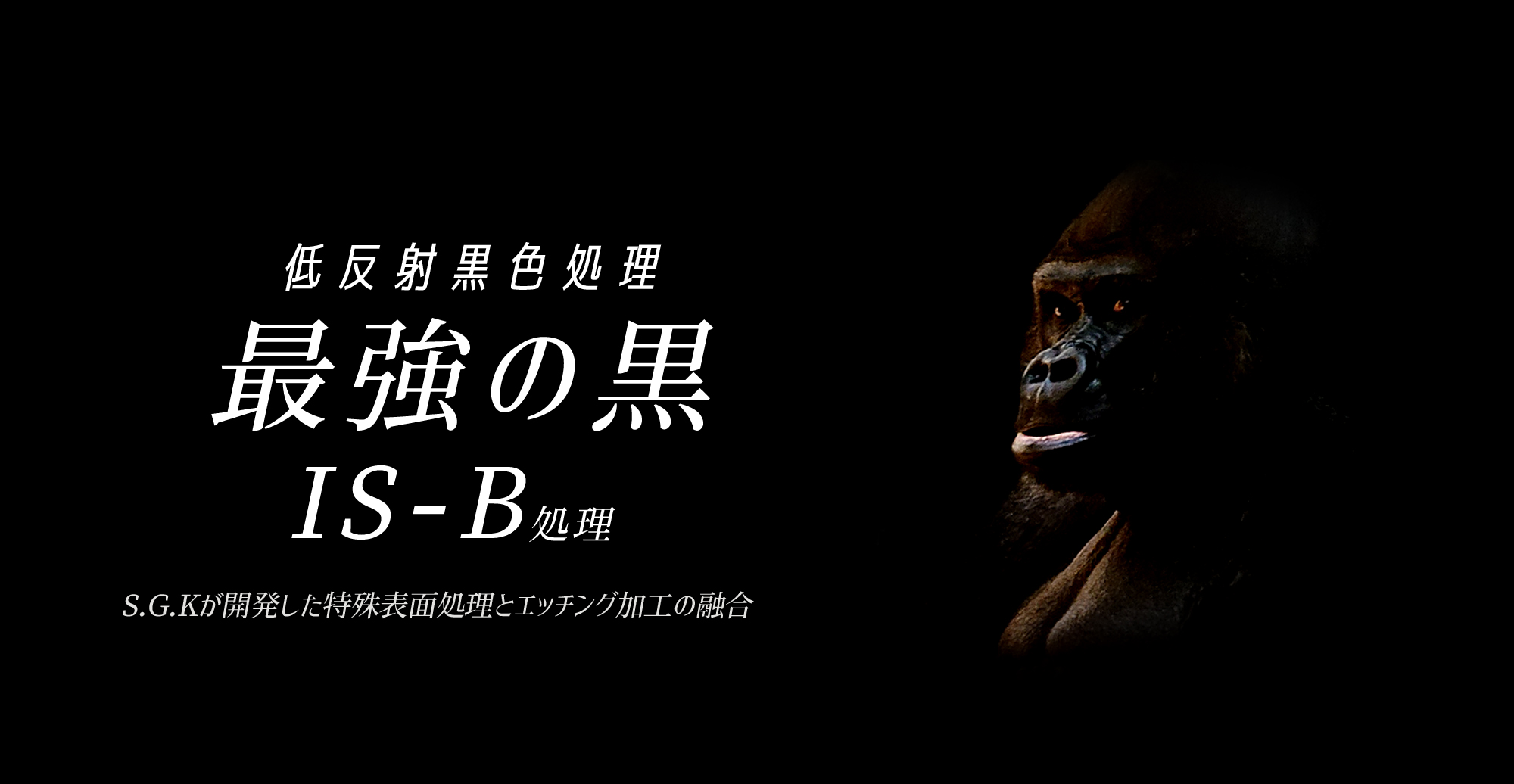 最強の黒 IS-B処理